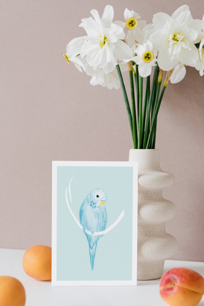 Budgie blue | A4 Poster