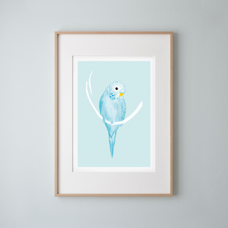 Budgie blue | A4 Poster